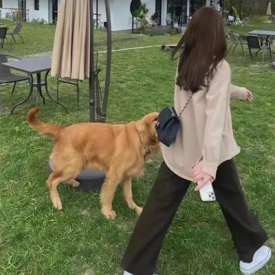 羁绊者
